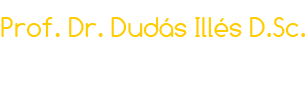 Prof. Dr. Dudás Illés D.Sc.